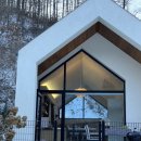 메리도그하우스 이미지