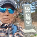 김해 신어산 이미지