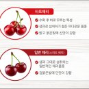 체리 - 김해시 번화1로76번길 16 | 체리