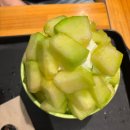 설빙 여름신메뉴 요거치즈메론몽땅설빙 솔직후기/내돈내산