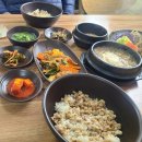 기장 가볼 만한 맛집 일광역 텐 퍼센트! 칠암 옥이 보리밥!