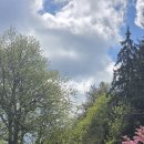0420 Chateau de Vianden Luxembourg 이미지