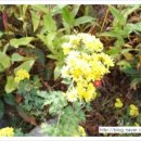 여민행정사사무소 이미지