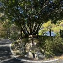 포레스트벨리캠프 이미지