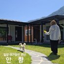 반값애견 | [안향]밀양 150평 천연 잔디 애견동반 독채 숙소 솔직후기|밀양반값여행