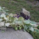 중문예촌 이미지