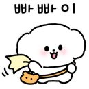 퍼피루시드 이미지