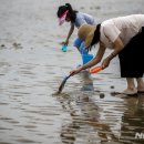 전국 폭염특보, 물놀이로 더위 피하는 시민들 [뉴시스Pic] 이미지