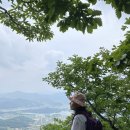 리브어라이브
