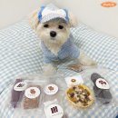 둔포애견 이미지