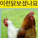 이길 이미지