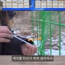 더블유인터내셔널 티스토리