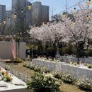 뉴수성하와이 이미지