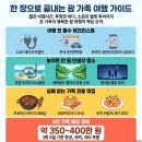 괌 가족여행 3박4일 코스 | 초등 남매 데리고 다녀온 솔직 후기 (2026)