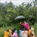 난향동-7 이미지