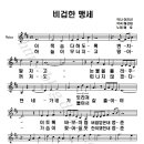 비겁한 맹세 / 배호 노래. 악보. 가사. 이미지