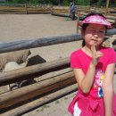 보광목장 이미지