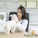 라온동물병원 이미지