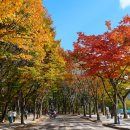 GS25 인천남동 | 인천 놀러갈만한곳 인천대공원 단풍 자전거 텐트 주차 실시간