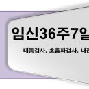 양미혜산부인과