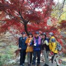 청하중학교 이미지