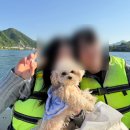 남양주 애견동반 식당 더드림핑 드림골 서울근교 데이트
