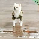 청평쭈꾸미 자시오 이미지