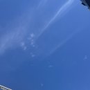 프로젝트삼백