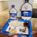 [공지] 제주서쪽 이색여행코스 한라산 소주공장 투어. 한라산소주 시음 및 체험후기