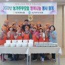 철원고구마 이미지