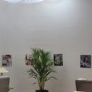 까리시마