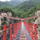 거창 항노화 힐링랜드 자연휴양림 이미지