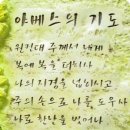 (주)야베스 이미지