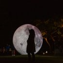 힐링이 되는 비내섬 이미지