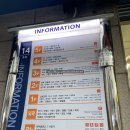 [결혼준비기록-13] 부산자유시장 &#39;봄봄플라워&#39;에서 촬영용 생화 부케 맞춘 후기!