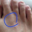 365탁정형외과의원 이미지