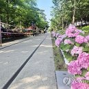 오후엔 이미지