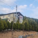 청도아델 이미지