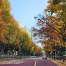 강서로 68길 이미지