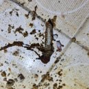 동암경로당 이미지