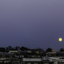 비양도모텔 이미지