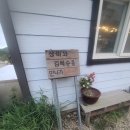 장미와김목수