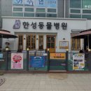 한성동물병원 이미지