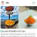 제주시공영버스 | 제주 애월카페 새물 오션뷰, 오메기떡크로플 후기