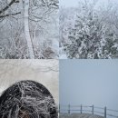 산동면사무소 | 국내여행#(11)(구례) 지리산 노고단 [1,507m, 가벼운 등산코스]