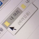 반차 사유 : 날이 좋아서 일하기 싫어요