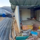 매밑농장 이미지