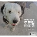유미사 이미지