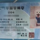 38.5DOG | [청주] 38.5 DOG 애견카페