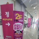 나래애견미용 네이버블로그